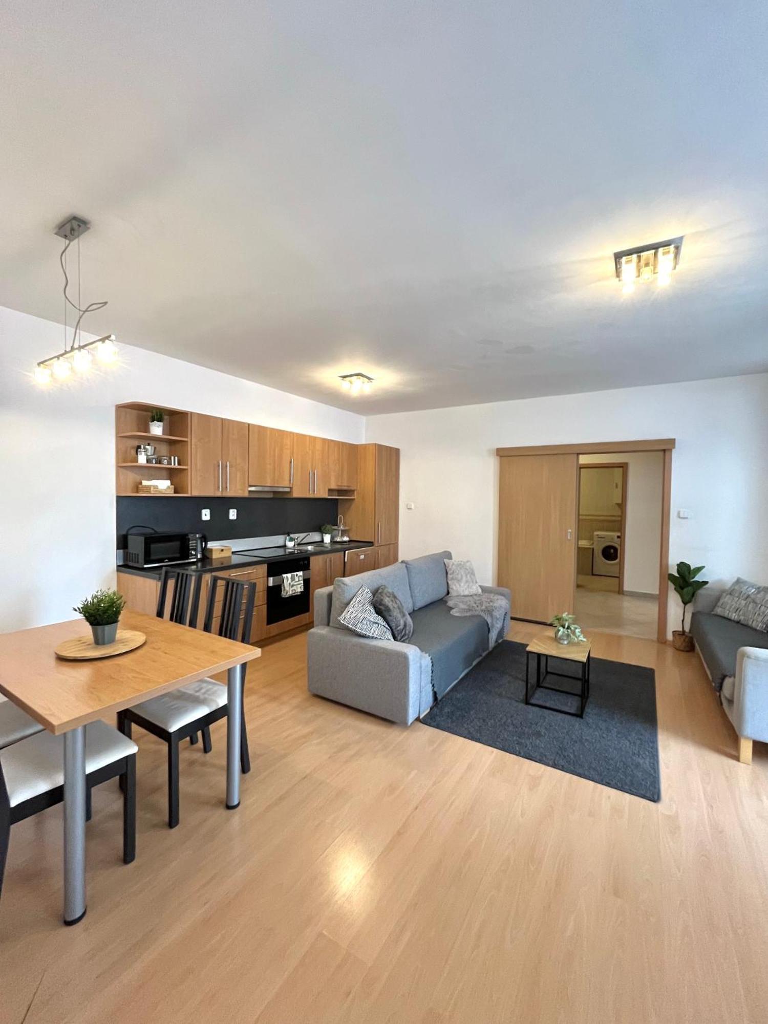 Apartment Tina - Old Town, Ac, Free Private Parking ブラチスラヴァ エクステリア 写真